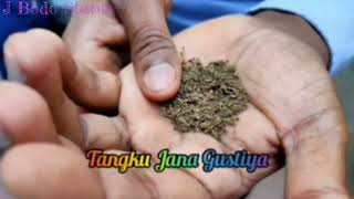 💔🌷Tangku Jana Gustiya Arlab  hwijwbbai🥀 New Bodo Status 2022 //