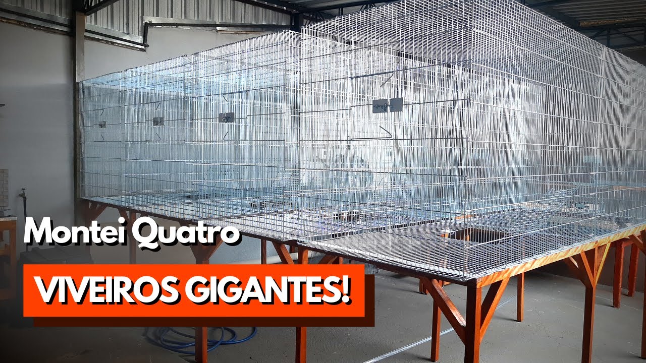 MONTANDO UMA NOVA ESTRUTURA (voadores de 3 metros para filhotes)