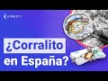 ¿Qué es un CORRALITO? ¿Podría haber uno en España? 🔒💰❌