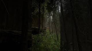 [8K60FPS] Epic Realism: Mystic Forest Walkthrough| Ultra Dynamic Skies | Unreal Engine 5