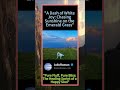 🤣 2026 POV: Unleashed! The Funniest Animal Fails &amp; Wins Compilation #AnimalLovers #Viral #fyp # 😍🦁