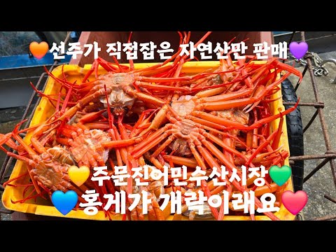[주문진항] 홍게가 개락이래요 / 주문진 어민수산시장