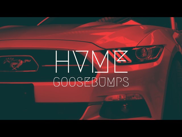 HVME - GOOSEBUMPS Extended Remix