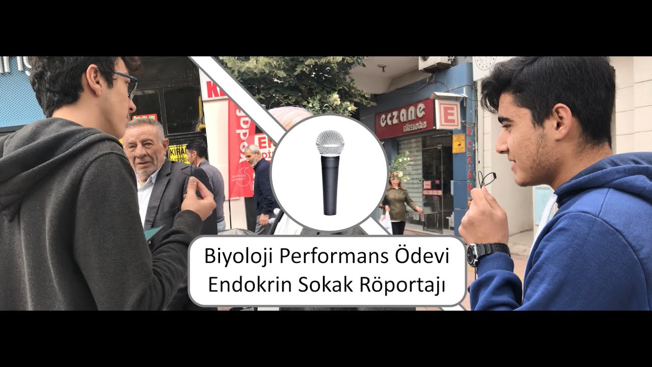 EFFL Endokrin Sokak Röportajı - 2019 Biyoloji Performans Ödevi