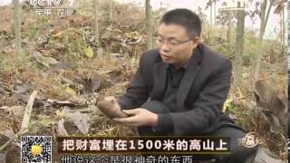 20140124 致富经 把财富埋在1500米的高山上