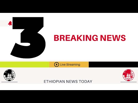 ቪዲዮ: ከፍቺው በኋላ አይዳ ጋሊች ከእንግዲህ እንደማታገባ ወሰነች