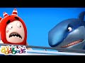 Aventuras no Zoológico 🔴  Oddbods AO VIVO 🔴  Desenhos Animados Para Crianças 🔴   Oddbods Brasil