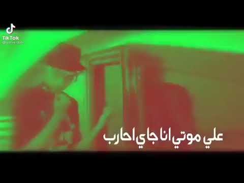 واقع وسط العقارب