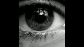 jangan pernah kamu menyakiti hati orang tua mu!!! video story WA