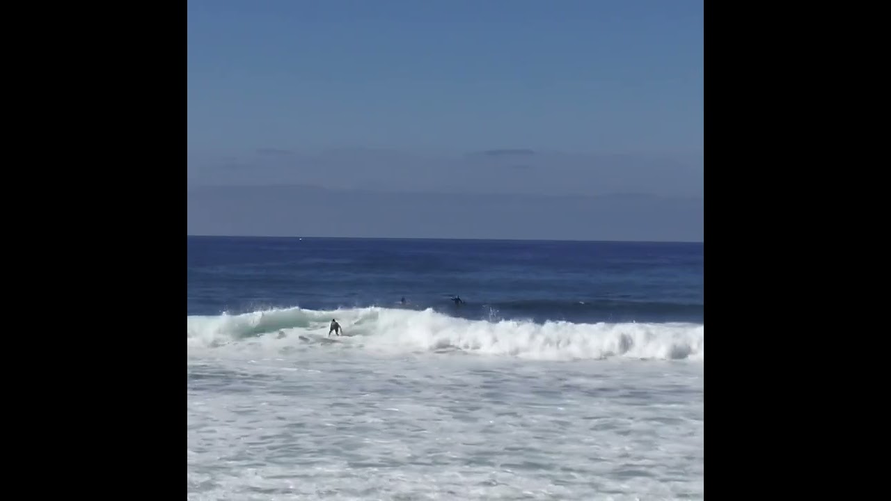 Nick Sofia Surfin Hospitals