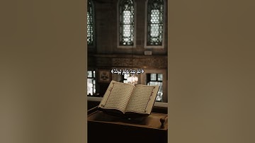 سورة الإخلاص #quran #اكسبلور #المصحف #قرآن #سورة_الإخلاص
