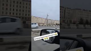 Buxoroda Daraxtlani Kesishvottikan