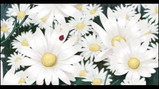 KOKIA - Scarborough Fair ( slowed   reverb )