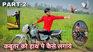 Kabutar Ko Bike Ki Saath Kese Trend Kre 🕊️🤔 || How To Trend Pigeon With Bike 🕊️