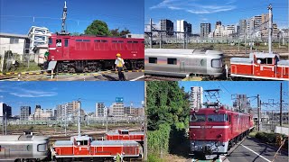 EF81 139+DE10 1704,DE10 1752+カシオペア,EF81 80+DE10 1571 [2024.9.13]