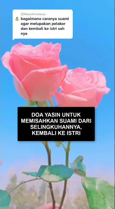 #perselingkuhansuami #perselingkuhan #suamicurang #shorts