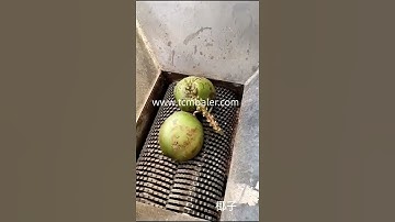 Coconut shell kitchen waste shredder