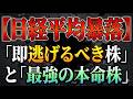 【日経平均暴落】「即逃げるべき株」と「最強の本命株」