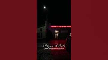 سورة يوسف (وَلَا تَيْأَسُوا مِن رَّوْحِ اللَّهِ ۖ)