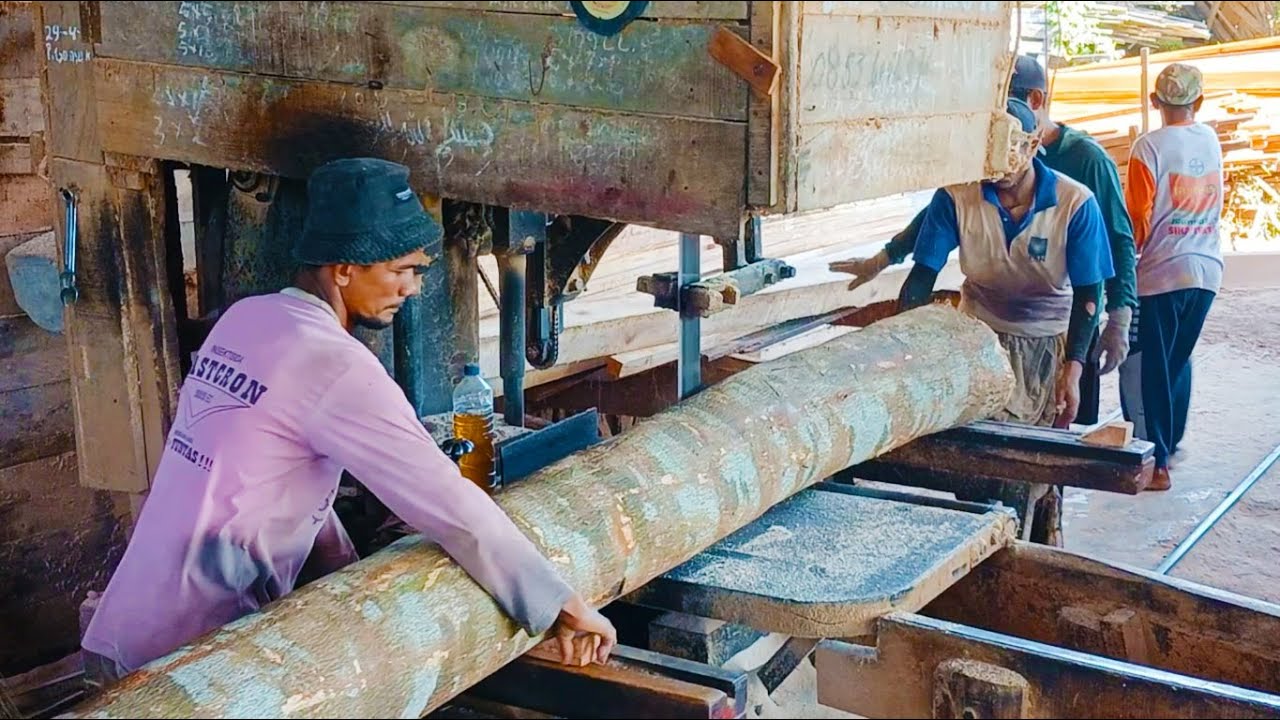 Sawmills That Make Big Money Inside the Success YouTube