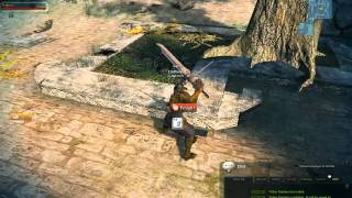 Vindictus Gravity Glitch