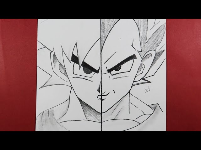 Goku vs Vegeta | Fandom