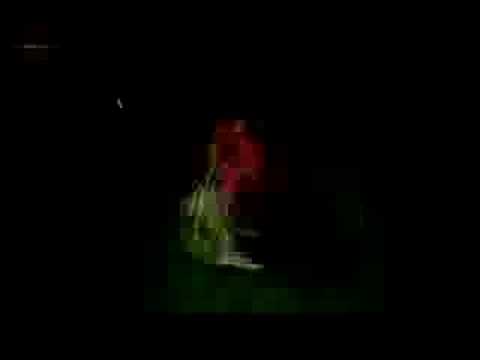 Siggraph 2006 Part 7