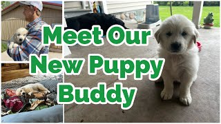 THE BELL FAMiLY IS GROWiNG~ MEET BUDDY