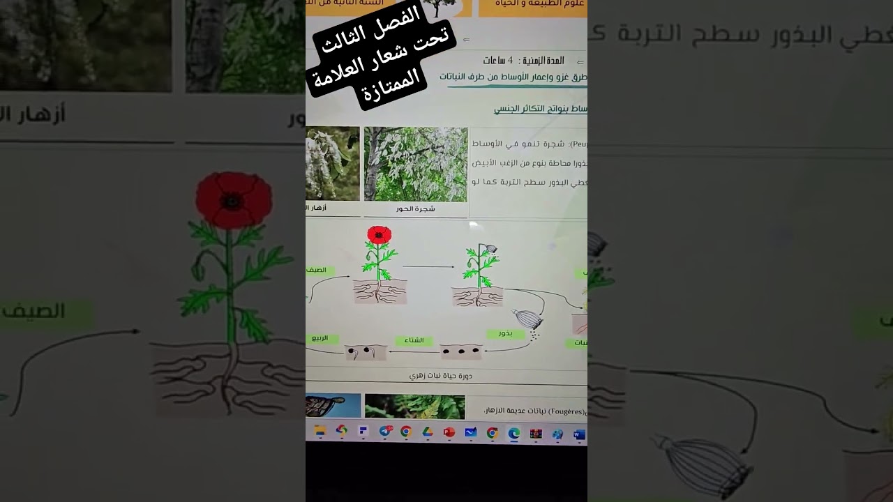 تلاميذ 2am الفصل الثالث العلامة الممتازة بانتظاركم مع تعليم كوم 💪