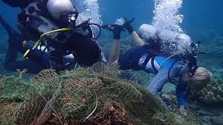 Marine Conservation Philippines volunteer