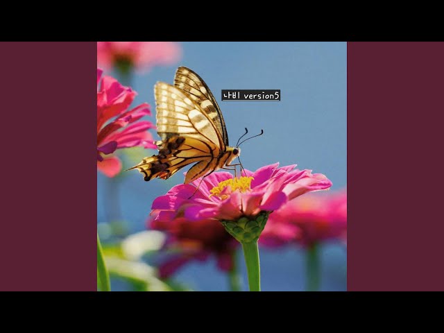 나비‎ 나비 (Version5) - YouTube