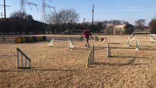 Reneke U142478 MA Jumpers 50 x 70 2 Event 110124 Feb 21 2021