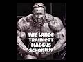 Seit WANN trainiert MAGGUS schon!?!?!?
