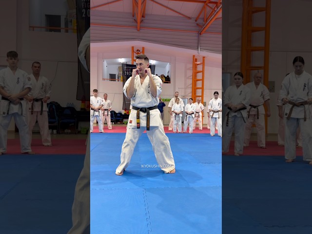 Cristian Boldut Fight Camp 2026 #kyokushin #shinkyokushin #karate #1kyokushin #一極真 #極真会館