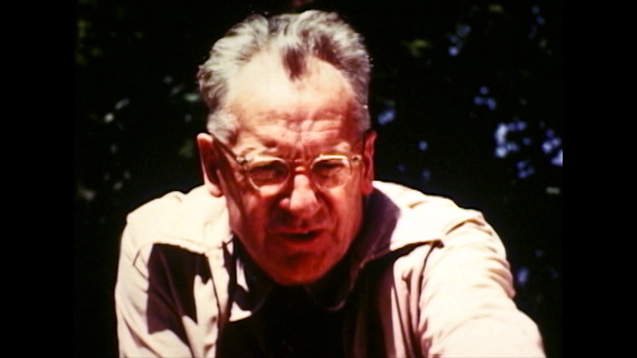 WFSTAR:  Fire In The Forest