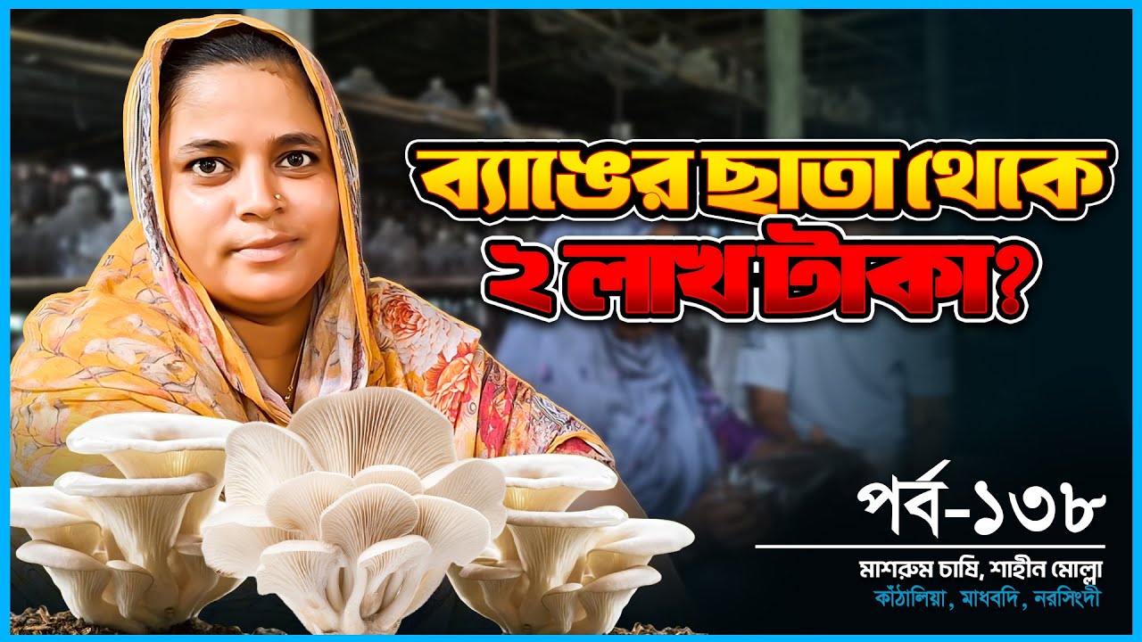 মাশরুম চাষ করে সাবলম্বী নরসিংদীর শাহিনা | কম টাকায় লাভজনক খামার | Ep-138 | Mushroom | Desh Bangla