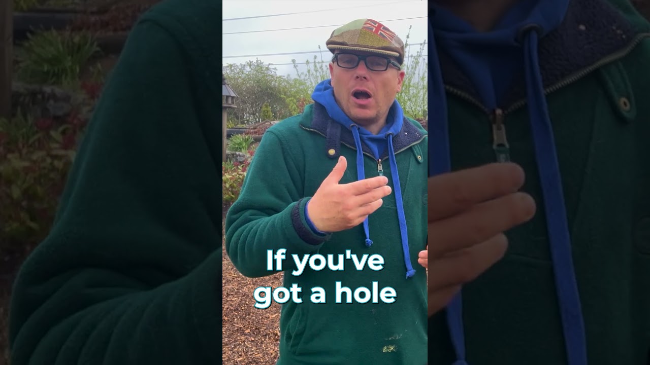 Pond Problems: Leaks