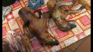 Wild animal meat market Kapit Borneo