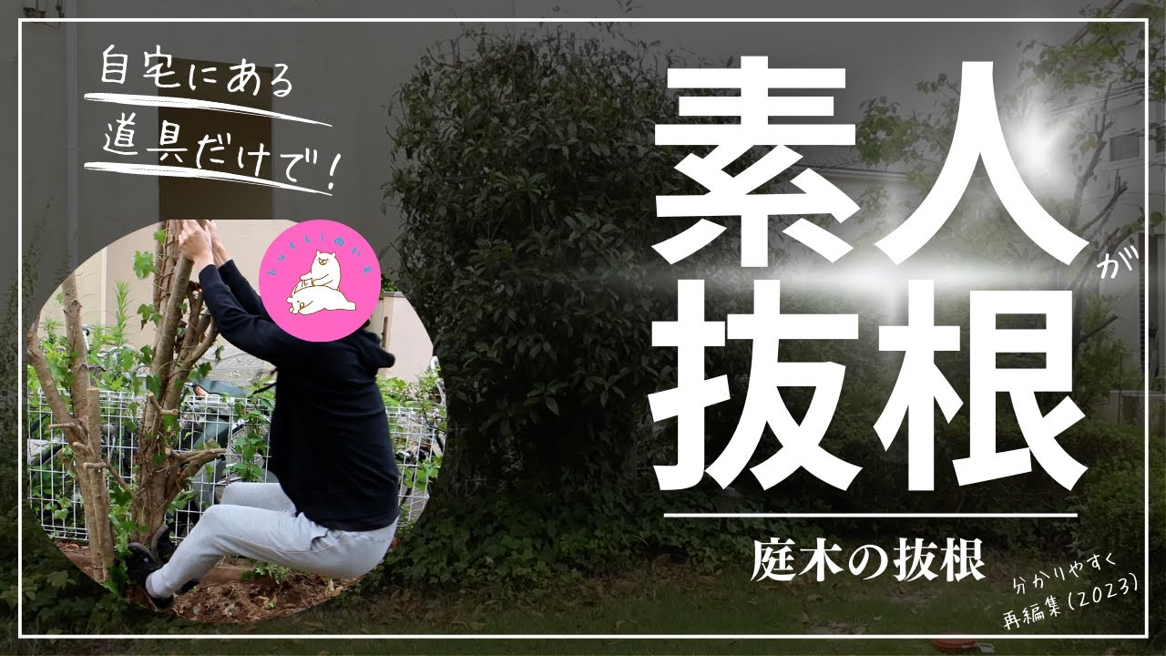 抜根方法!素人が自宅にある道具だけで庭木を自力抜根。人力伐根(uproot a tree) - YouTube