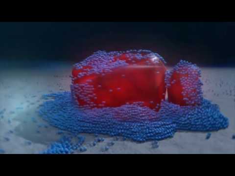 corpoamazonia Annihilator™ Polyzone® Video