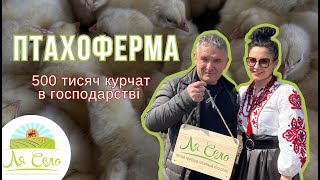 ЛяСело на птахофермі: як воно, мати 500 тисяч курчат у господарстві?