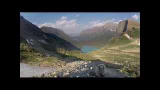 Marmot licks Go-Pro camera - how it should of ended