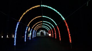 Rotary Making Spirits Bright 2015