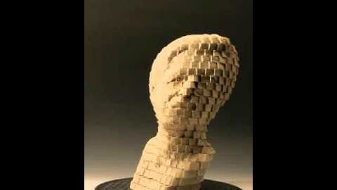 Ambiguous Perception  #7