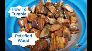 How to Rock Tumble Petrified Wood