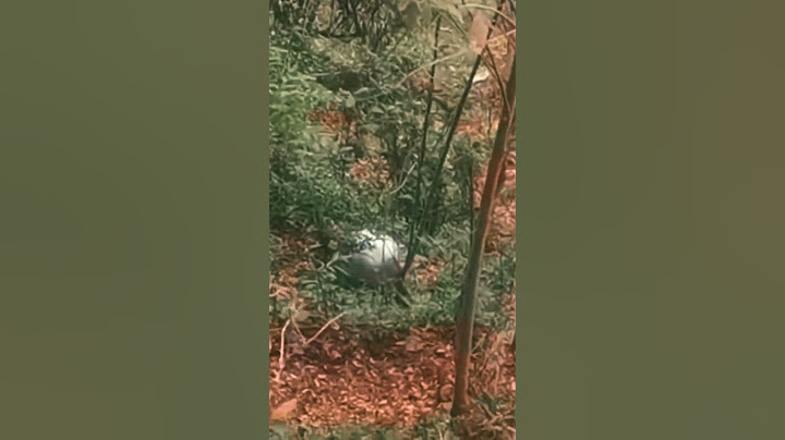 New Video of the Colombian Sphere UFO