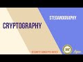 Master Steganography: Hide Your Secrets Like a Digital Wizard 🧙️
