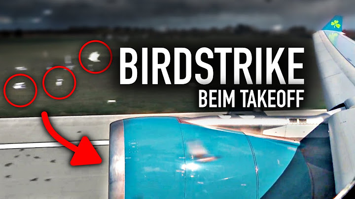 Birdstrike! Airbus A330 muss umdrehen | AeroNews