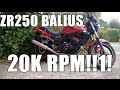 Kawasaki Balius ZR250 4 cyl - Screaming Demon!!