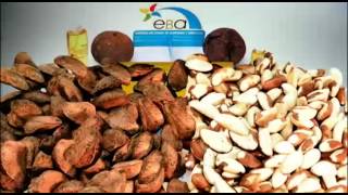 EMPRESA BOLIVIANA DE ALMENDRAS by SEDEM bolivia 2,748 views 9 years ago 48 seconds